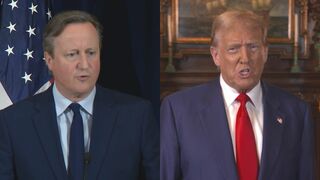 英・キャメロン外相がトランプ前大統領と会談 「もしトラ」に備え接触か