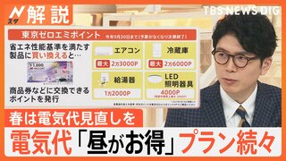 「春は電気代の見直しに適した季節」電気代“お昼が安い”プランでどれくらいお得に？【Nスタ解説】