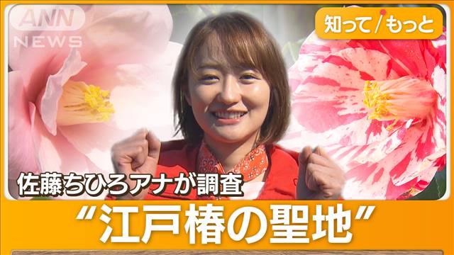 春の花　徳川将軍も愛した椿の魅力を専門家に聞く　神代植物公園【グッド！いちおし】