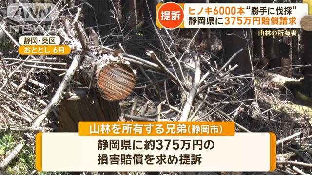 ヒノキ6000本“勝手に伐採”　静岡県に375万円の賠償請求　山林の所有者が提訴