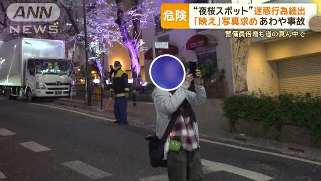 夜桜スポットで迷惑行為続出…「映え」写真求め…あわや事故　車道がまるで歩行者天国