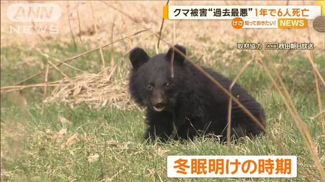 クマ被害“過去最悪”　1年で219人けが、6人死亡