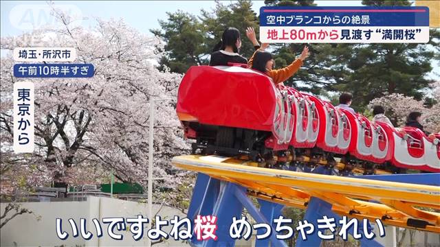 空中ブランコからの絶景　地上80mから見渡す“満開桜”