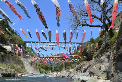 春風にふわり　川面に舞うこいのぼりの群れ　宮崎・日之影