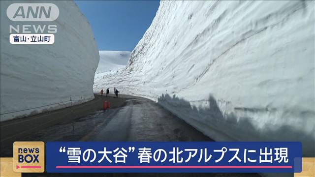 “雪の大谷”春の北アルプスに出現　立山黒部アルペンルート全面開通