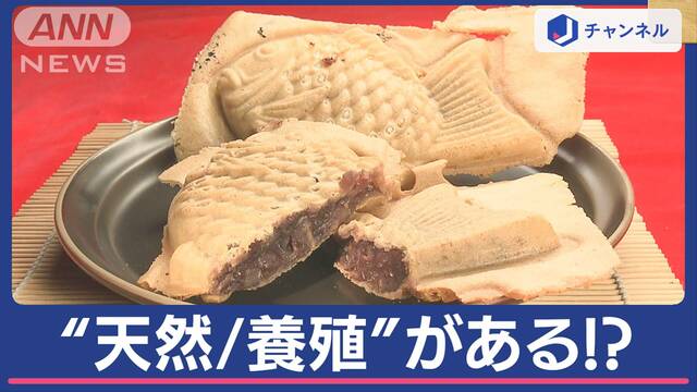 たい焼き“天然”と“養殖”って何？　何が違う？　徹底調査