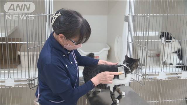 「いしかわ動物愛護センター」完成　被災ペット優先