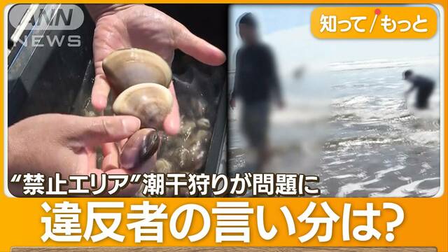 大洗海岸で“違法”潮干狩りが問題に　大量ハマグリ持ち帰りか…違反者「気づかず」？