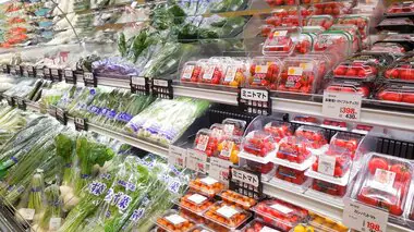 【速報】野菜の高値続く…レタスは平年比54％高　ジャガイモはお買い得　農水省