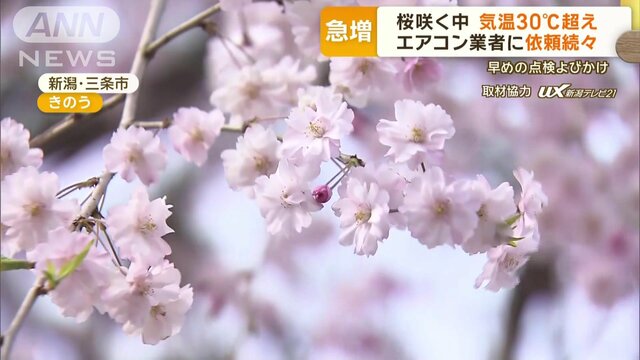 桜咲くなか…気温30℃超え　連日の夏日　真夏日も