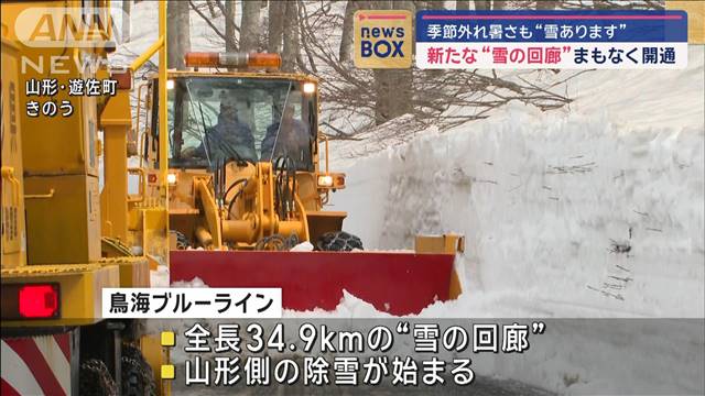 新たな“雪の回廊”まもなく開通　季節外れ暑さも“雪あります”