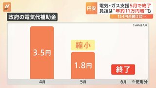 1ドル＝154円 円安で家計負担は「11万円増」試算も　「電気」「都市ガス」負担軽減措置打ち切りで家計に打撃