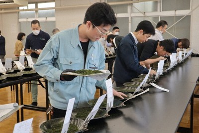 香りも味も良し　福岡・八女茶の初入札会　1キロ10万円の煎茶も