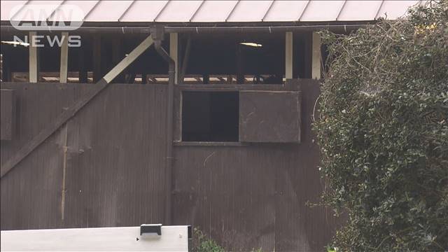 「馬小屋が燃えている」乗馬クラブで火災　馬3頭が死ぬ　茨城・稲敷市