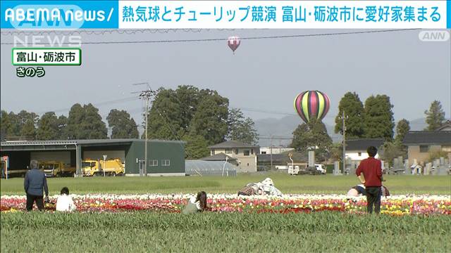 熱気球とチューリップの競演　全国から愛好家集まる　富山・砺波市