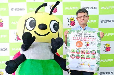 観光客や移住者はご注意！　サツマイモなど「県外に持ち出さないで」 那覇植物防疫事務所、植物の移動規制で呼び掛け強化