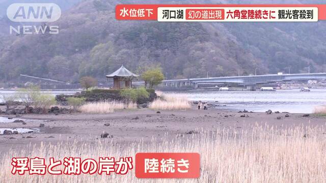 “幻の道”出現も…河口湖で水位低下　ゴールデンウィーク目前、観光地から悲鳴の声