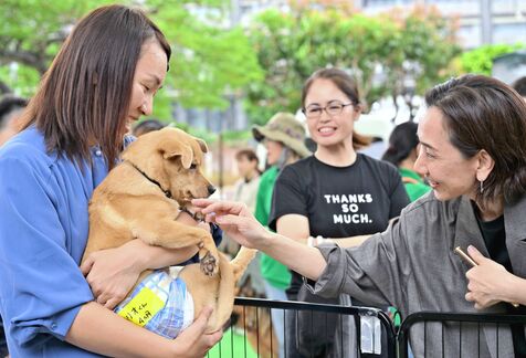 「この子を飼いたい！」 迷い犬や遺棄犬保護　新たな家族と生活へ