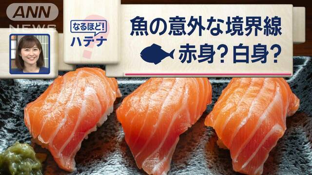 サケは「白身」サワラは「赤身」…その境界線はどこに？　見た目や産地では判別不可能