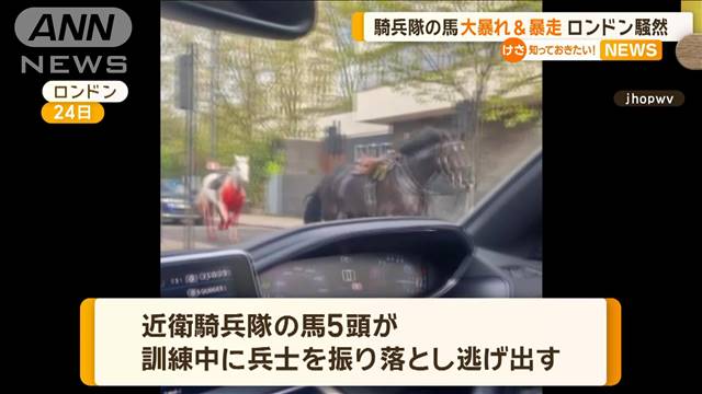 騎兵隊の馬　大暴れ＆暴走でロンドン騒然　少なくとも4人けが