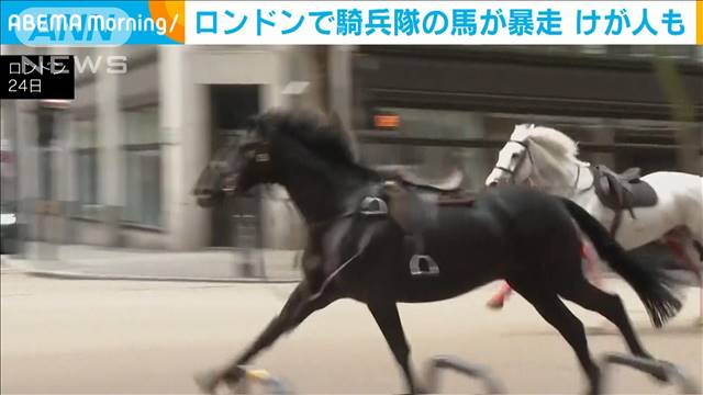 英 ロンドン中心部で騎兵隊の馬5頭が暴走  けが人も