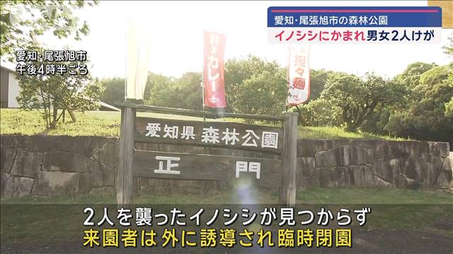 イノシシにかまれ　男女2人けが  愛知・尾張旭市の森林公園