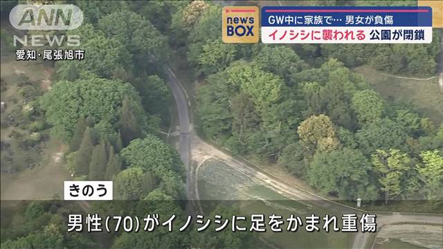 イノシシに襲われ男女が負傷 公園が閉鎖　愛知・尾張旭市