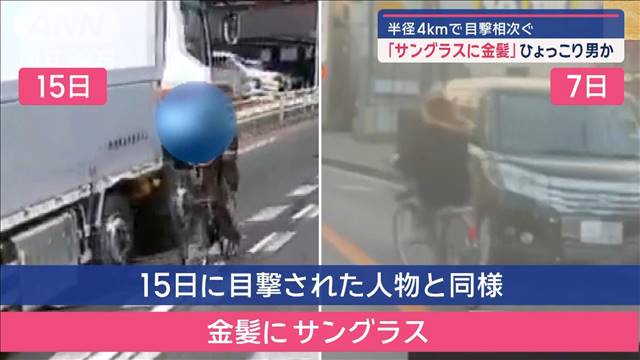 ひょっこり男か「サングラスに金髪」　半径4kmで目撃相次ぐ