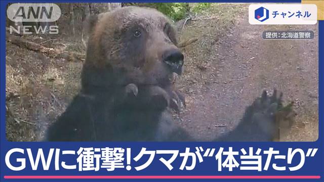 GWで山菜採りに…目の前からヒグマ“襲撃の瞬間”