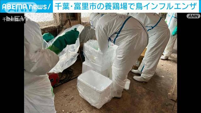 千葉・富里市の養鶏場で鳥インフルエンザ　6万3000羽を殺処分へ