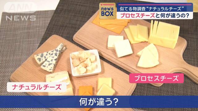 似てる物調査　“ナチュラルチーズ”と“プロセスチーズ”　何が違うの？