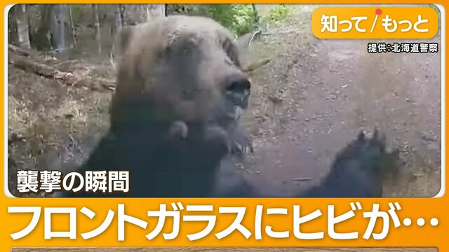 “ヒグマ襲撃”の瞬間　猛スピードで軽トラに体当たり…凶暴な理由は子グマ守るため？