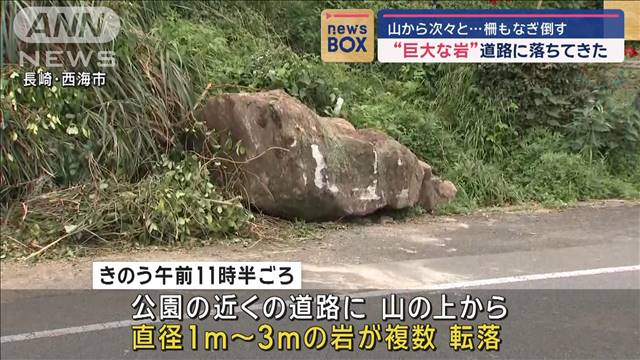 “巨大な岩”道路に落ちてきた　山から次々と…柵もなぎ倒す