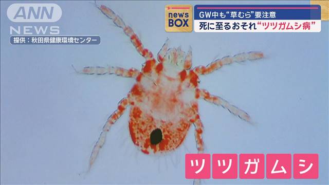 死に至るおそれ“ツツガムシ病”　GW中も“草むら”要注意