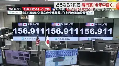 「じりじり首を絞めるような痛み」“円安”で原材料費など上昇　年内は円安続き秋に値上げラッシュか