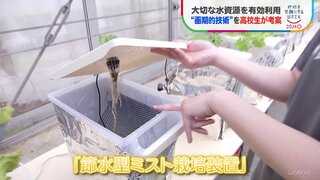 高校生らが開発「節水型ミスト栽培装置」　野菜の栽培に必要な水が半分以下になるケースも【SDGs】