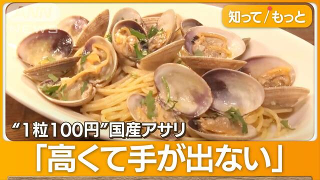 “1粒100円”国産アサリ今や「高級食材」に…中国産は1パック200円台　なぜ激安？