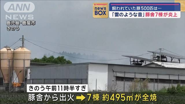 「雷のような音」豚舎7棟が炎上　飼われていた豚500匹は…