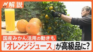 「オレンジジュース」が高級品に？ 記録的な不作が影響…販売休止相次ぐ、国産みかん活用の動きも【Nスタ解説】