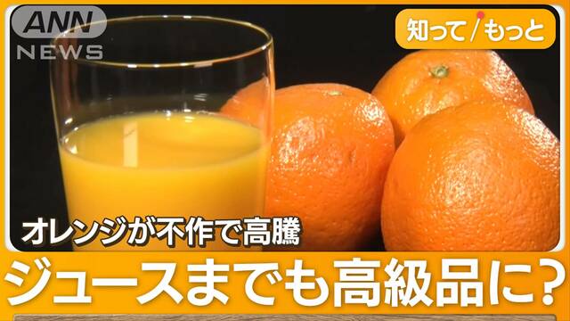 オレンジジュース休売次々　不作＆円安で国産みかんに注目　農家に追い風？