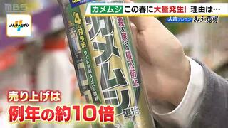 カメムシ対策グッズが品薄「いつもは秋なので生産が間に合っていないそうで…」春なのに再び『カメムシ大量発生』農作物への影響も懸念