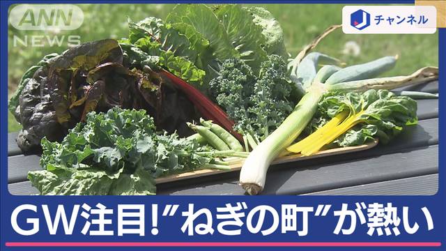 円安×物価高　アウトレットに野菜が盛りだくさん　人気の秘密はワンコイン！