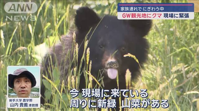 「目の前にクマ」GW家族連れも騒然　観光地に出没