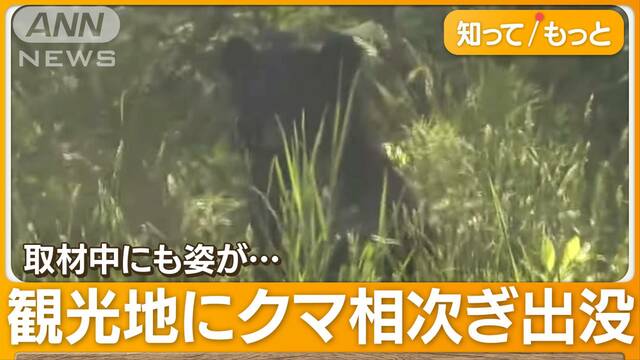 GWにクマ出没…家族連れにぎわう観光地　取材班遭遇　専門家「人にかなり慣れている」