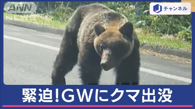 「怖い」GW後半戦　初日にクマ出没…知床の観光客の目に巨大ヒグマ