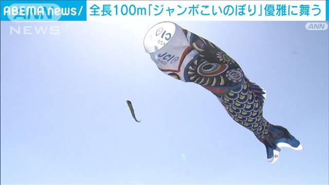 大空を悠々と…全長100m「ジャンボこいのぼり」舞う　会場から大歓声