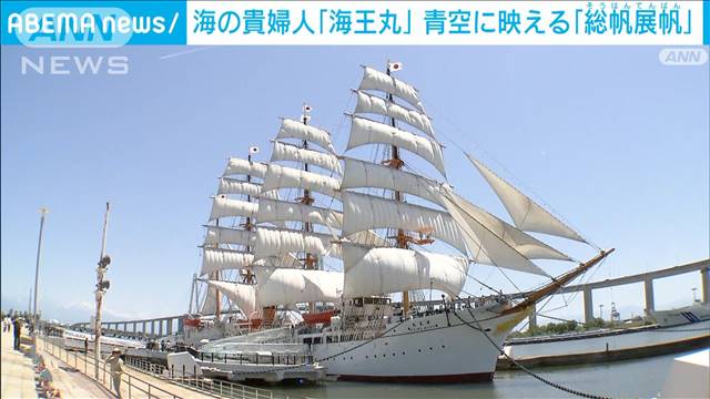 「海王丸」総帆展帆　白い帆が青空に映える“海の貴婦人”