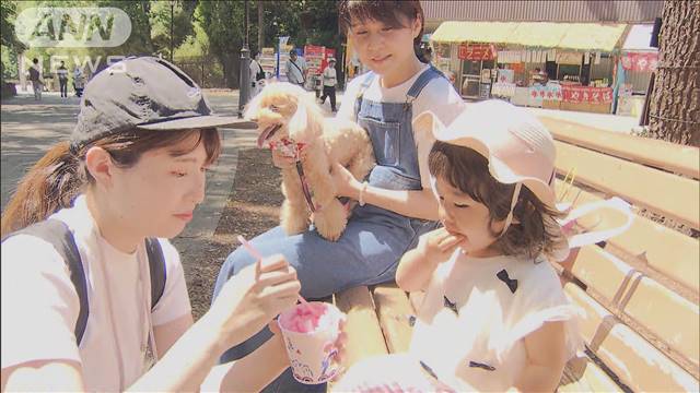 関東から東北で真夏日続出　都内でも今年初の30℃超えか