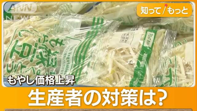 もやし3円値上げで消費減　生産者に焦り「白くて新鮮だけでは将来を展望できない」