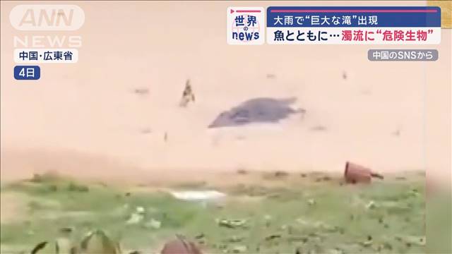 大雨で“巨大な滝”出現　…濁流に“危険生物”【世界のNEWS】